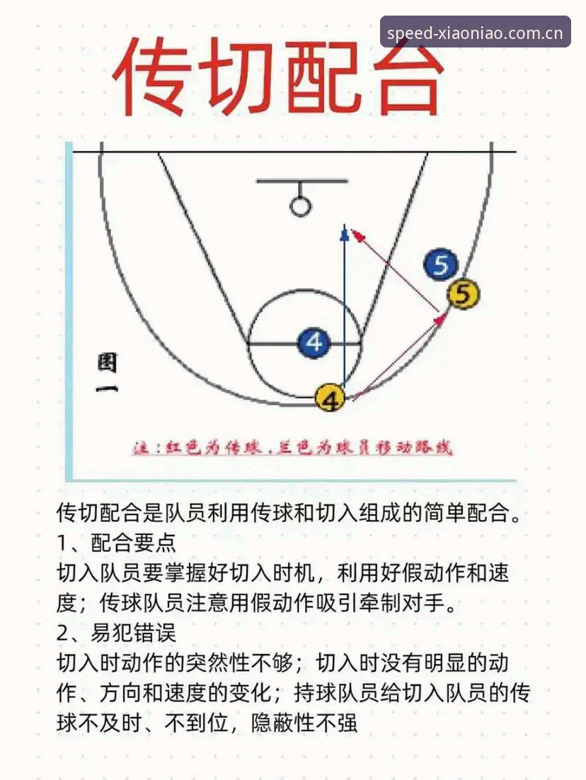 揭秘小鸟体育R3B8功能攻略：你不知道的实战技巧与深度解析