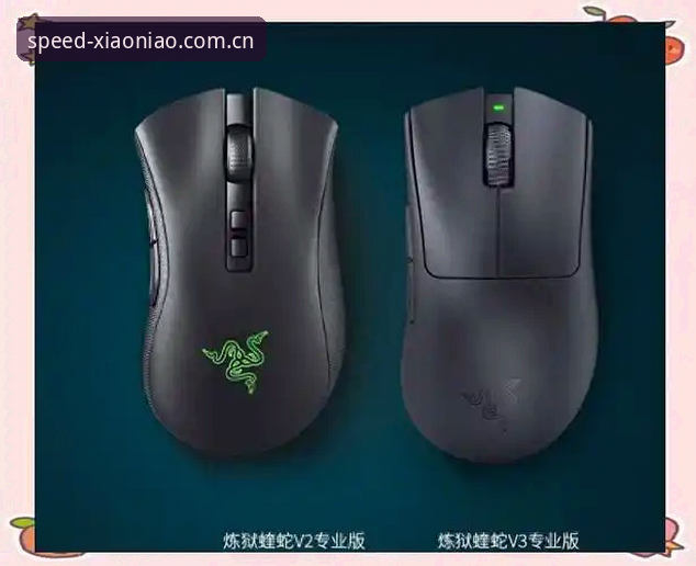 小鸟体育平台最新动态：R3B8版本升级后的安全性与用户体验深度评测